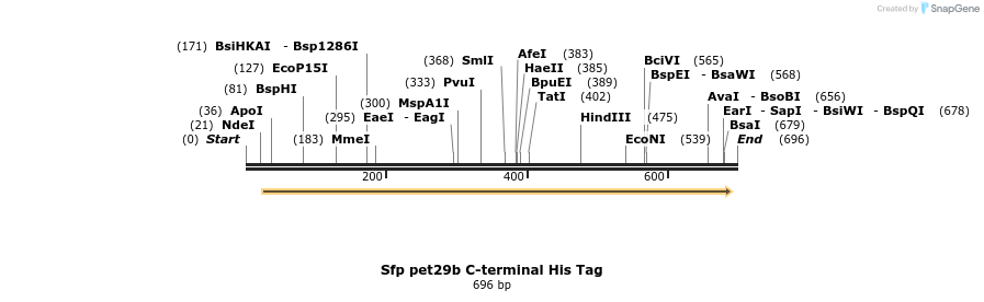 147342_map