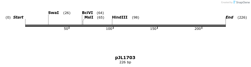 147347_map