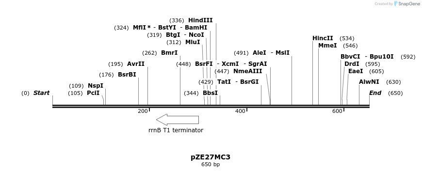 147361_map