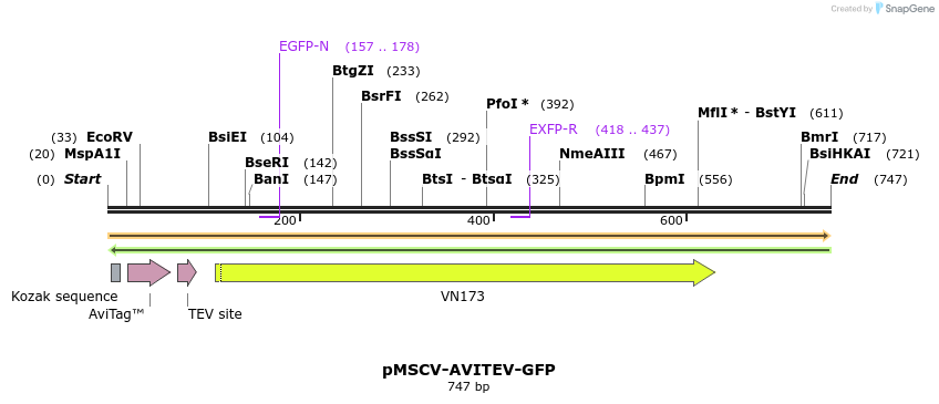 147372_map