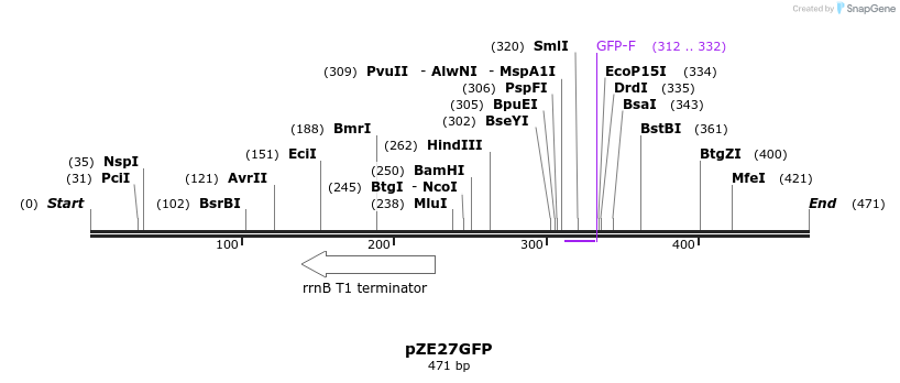 147373_map