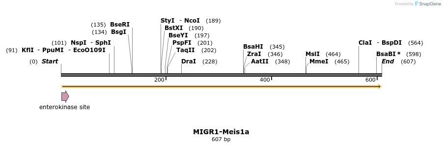 147386_map