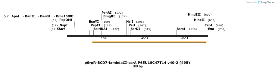 147387_map