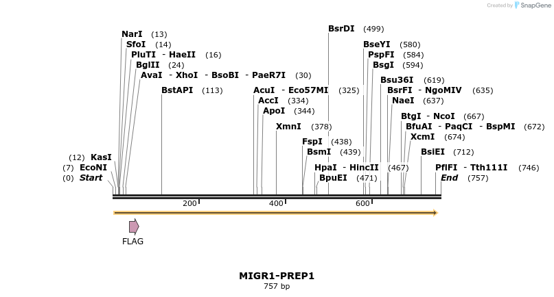 147390_map