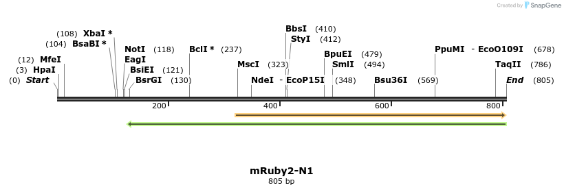 147391_map
