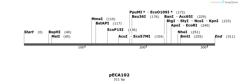 147392_map