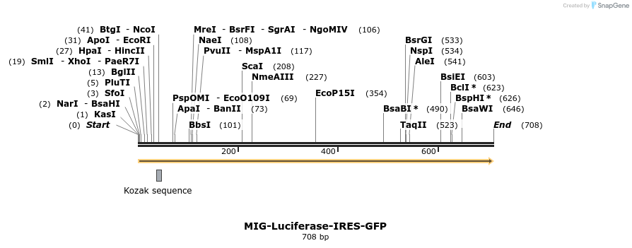 147396_map