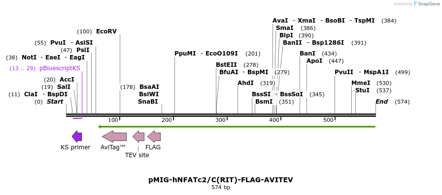 147398_map