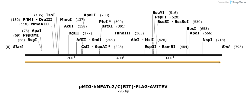 147401_map