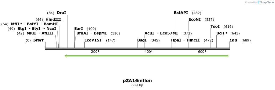 147403_map
