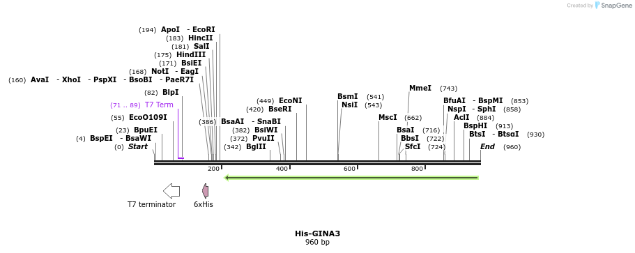 147404_map