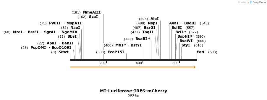 147411_map