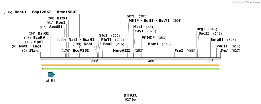 147412_map