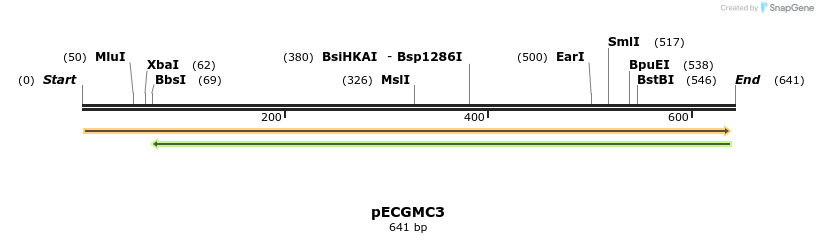 147416_map