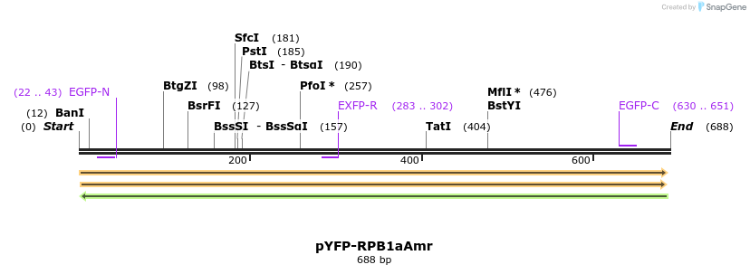 147426_map