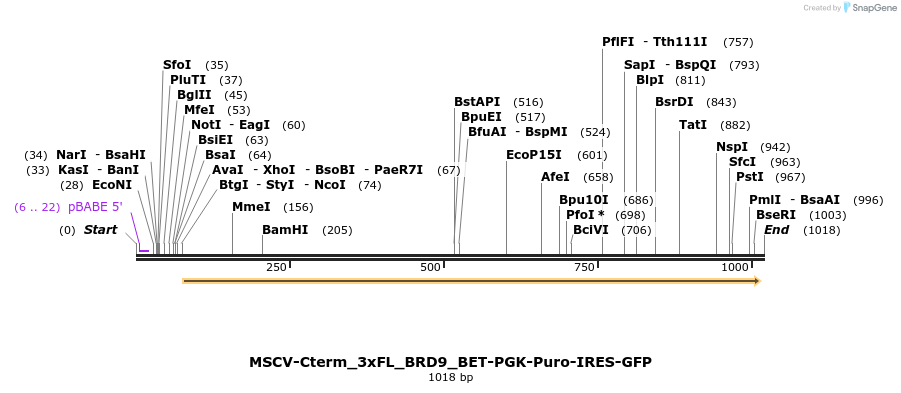 147438_map