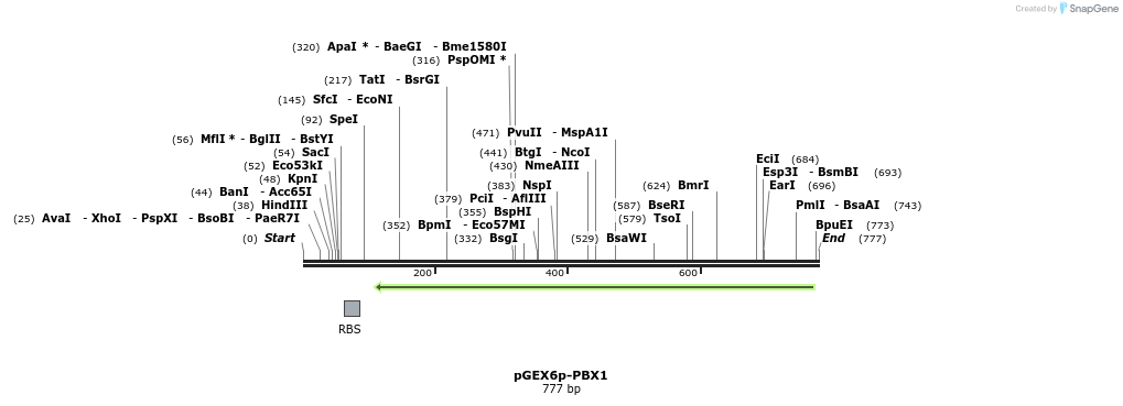 147439_map