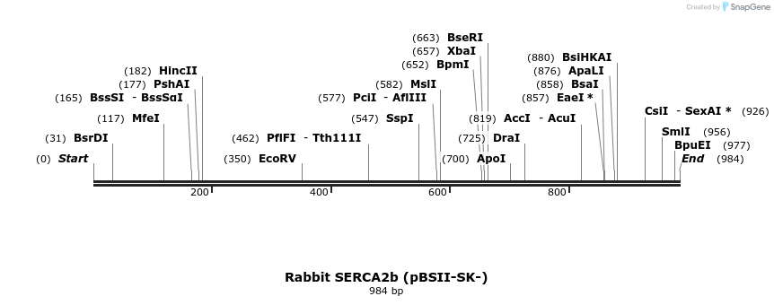 147456_map