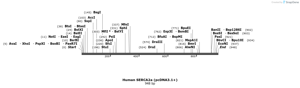 147461_map
