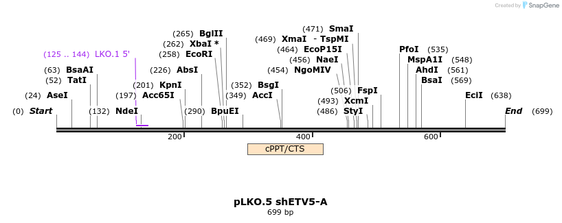 147462_map