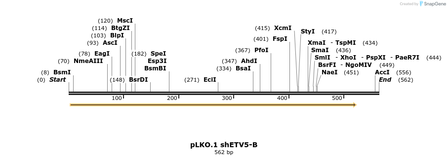 147469_map