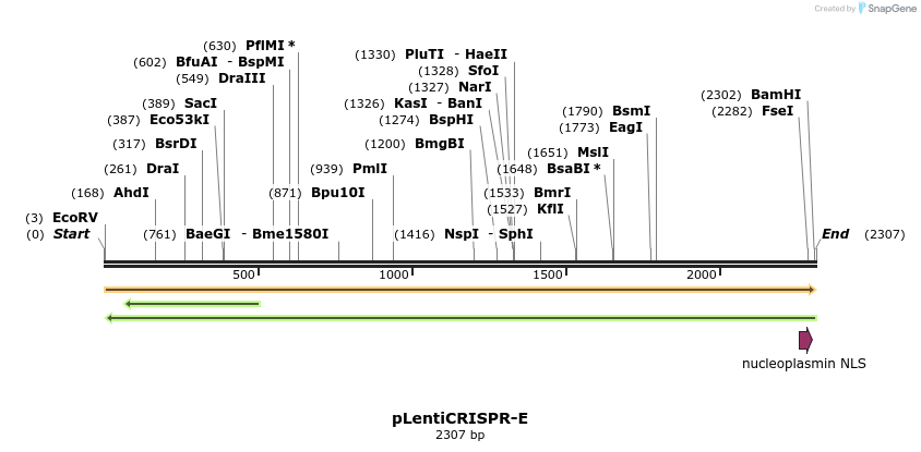 147480_map