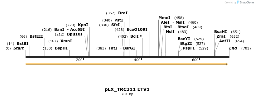 147506_map