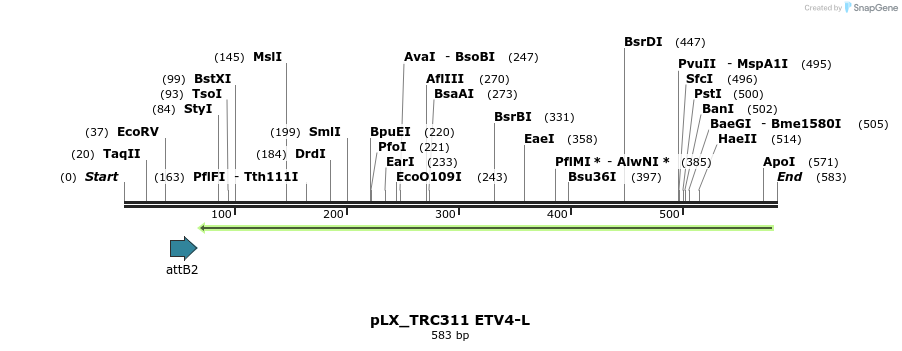 147513_map