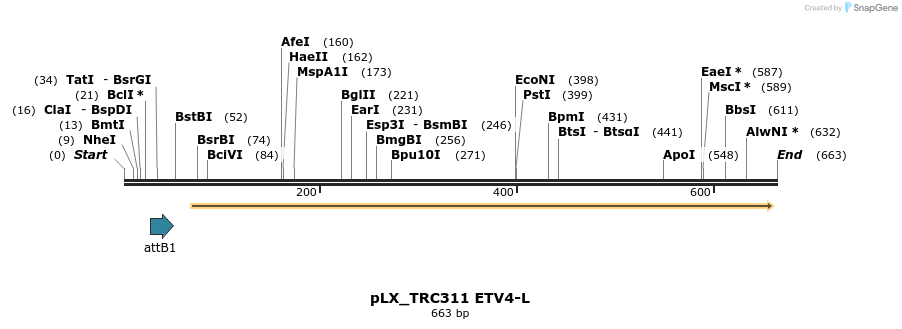 147516_map