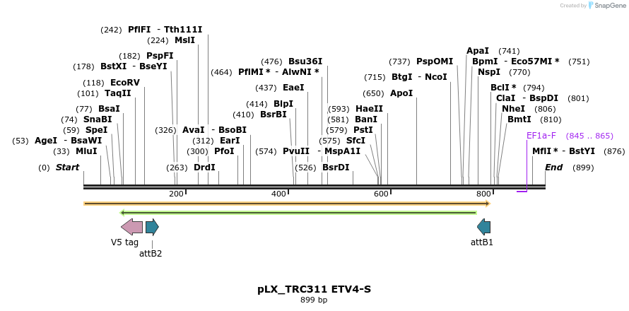 147522_map