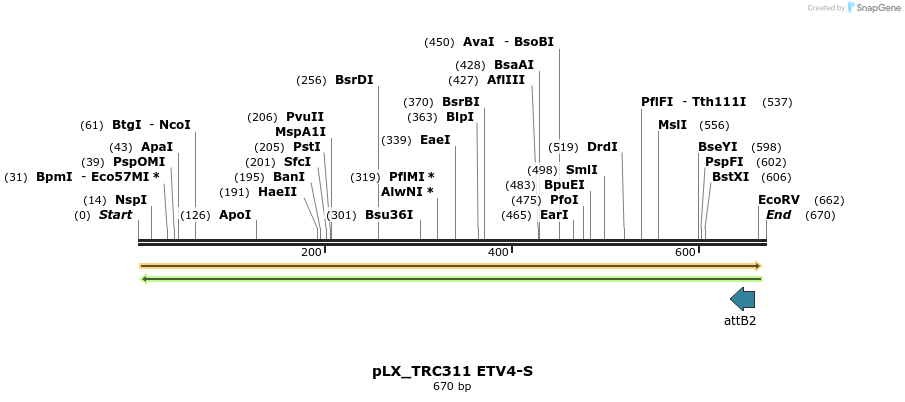 147523_map