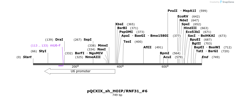 147527_map