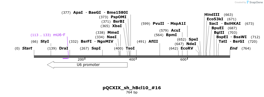 147545_map