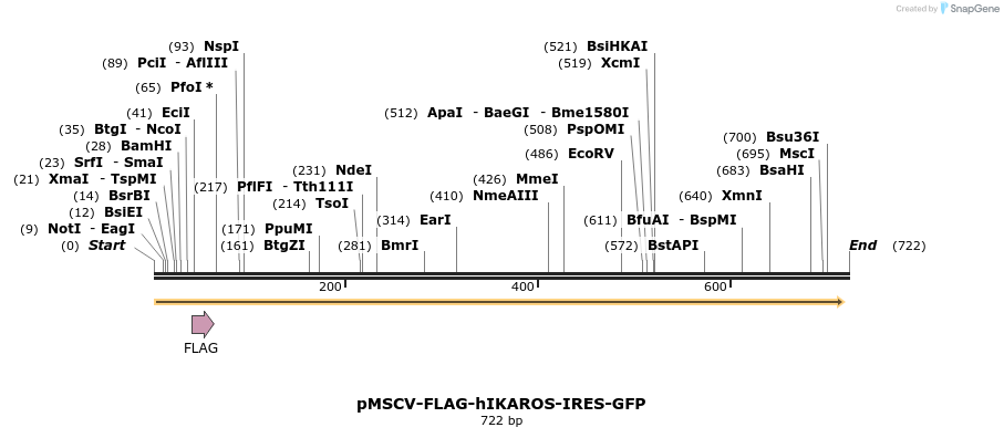 147569_map