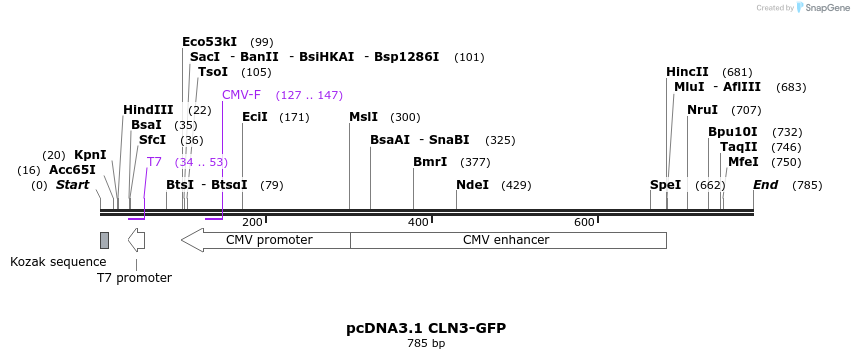 147572_map