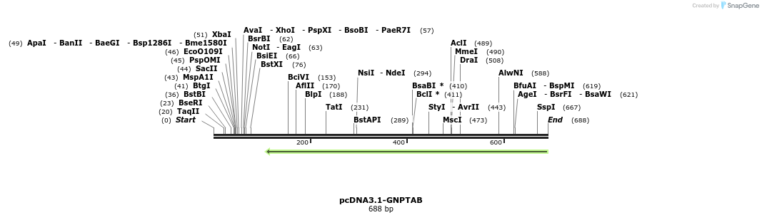 147574_map
