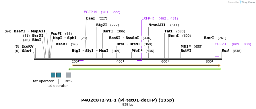 147575_map