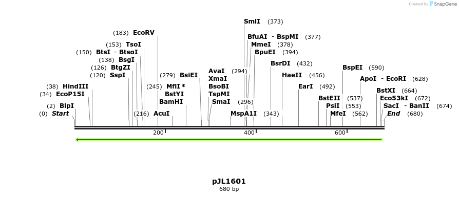 147579_map