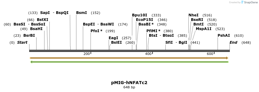 147580_map