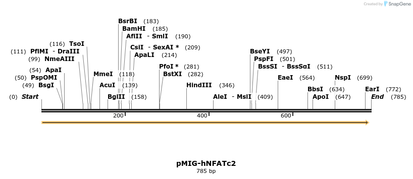 147582_map