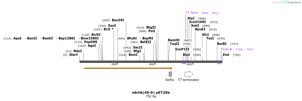 147592_map