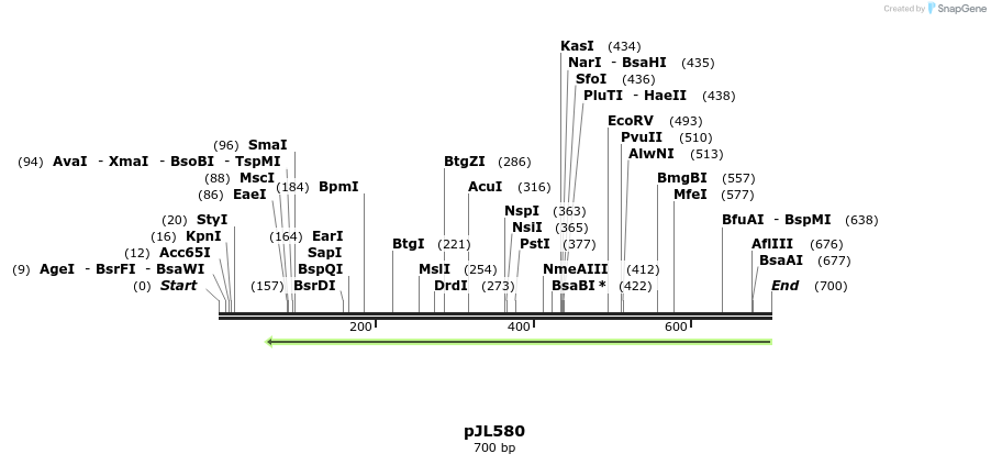 147593_map