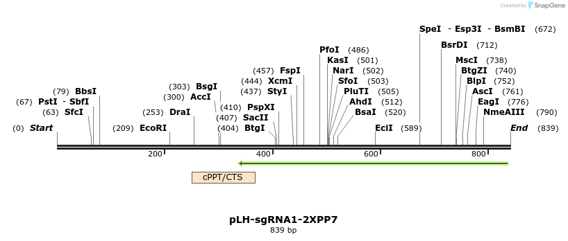 147596_map