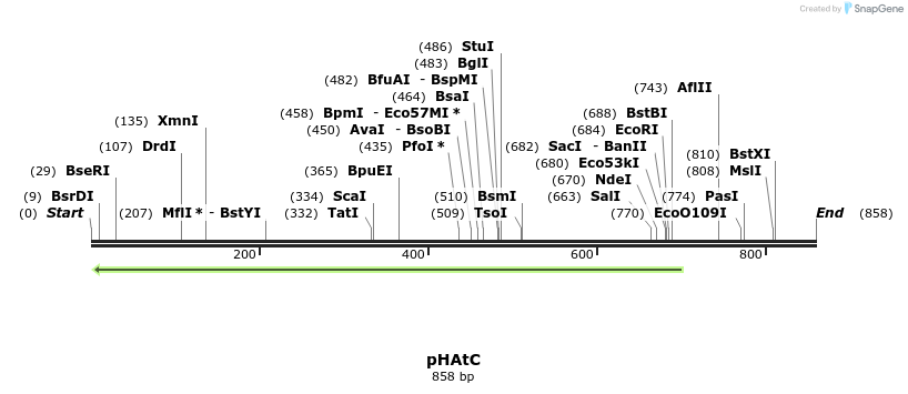 147597_map
