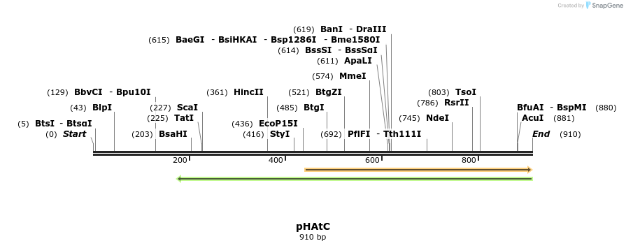 147598_map