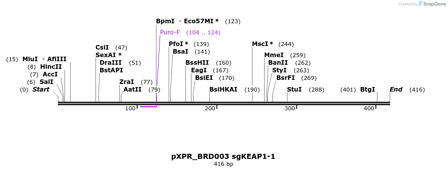 147601_map