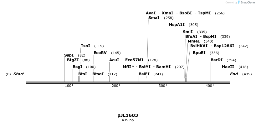 147604_map