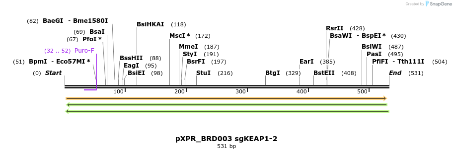 147605_map