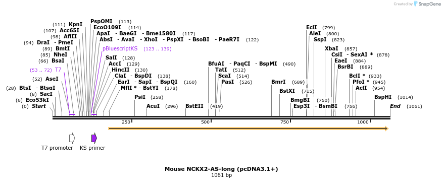147607_map
