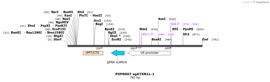 147618_map